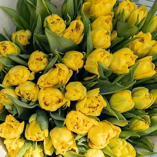 Yellow Tulip Bouquet - Bright & Elegant Spring Luxury