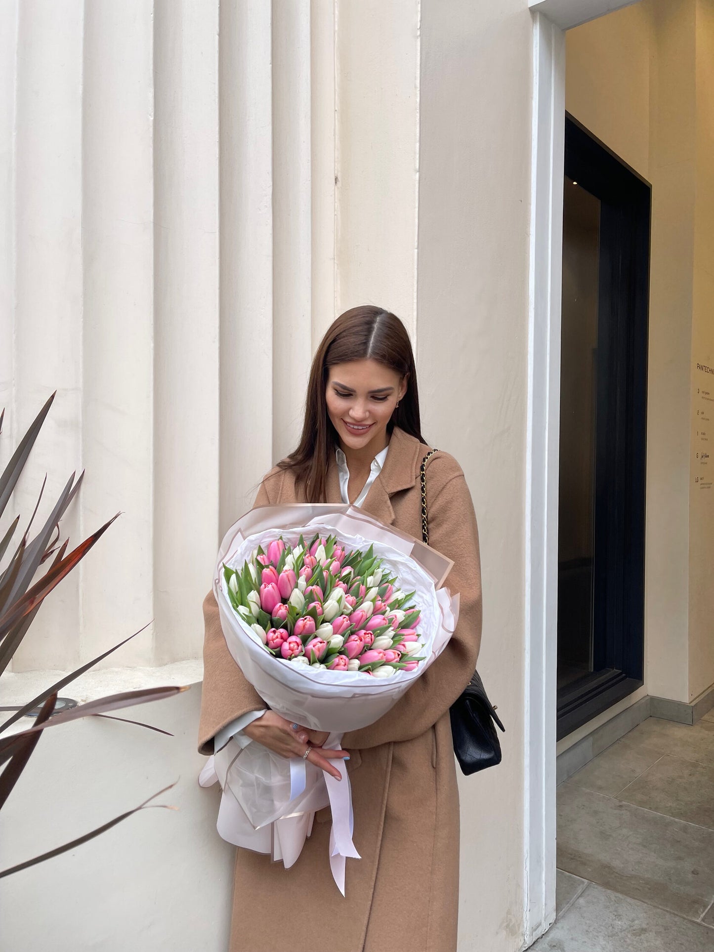 101 Pink & White Tulips