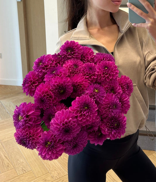 Dahlias in London