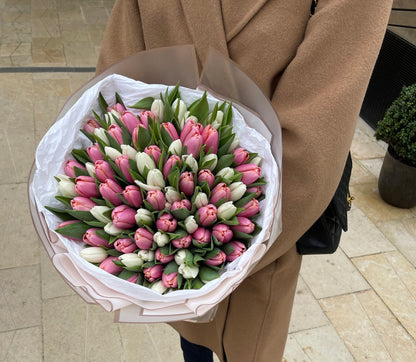 101 Pink & White Tulips