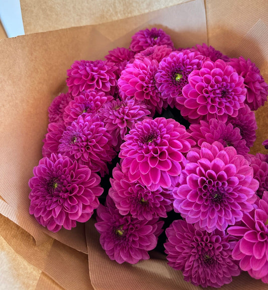 Dahlias in London