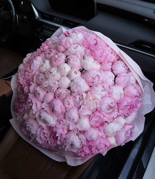 Sara Bernhardt Peonies