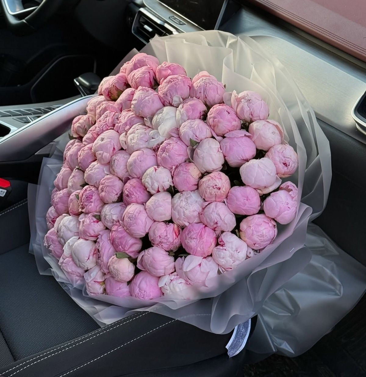 Sara Bernhardt Peonies