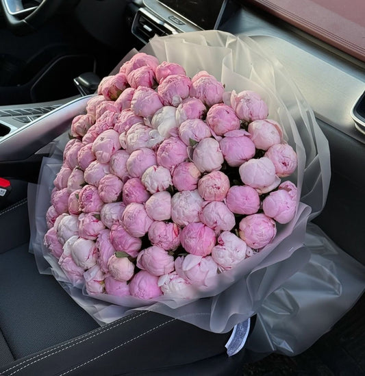 Sara Bernhardt Peonies
