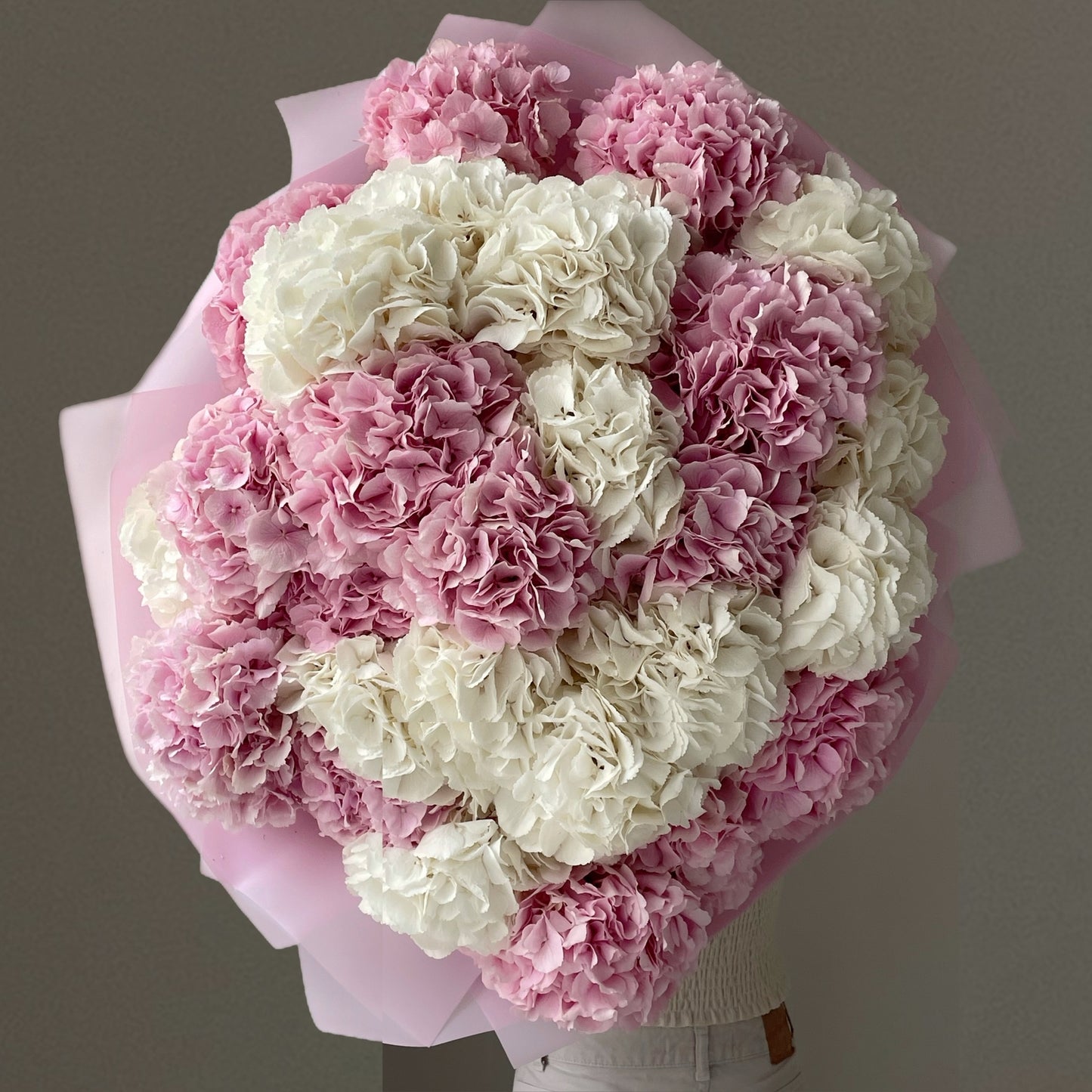 Cream Soda Hydrangeas