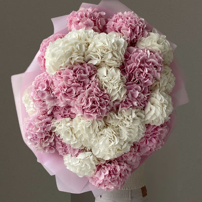 Cream Soda Hydrangeas