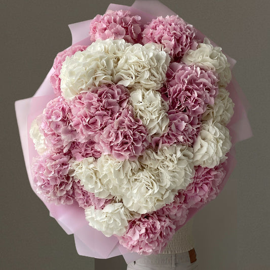 Cream Soda Hydrangeas