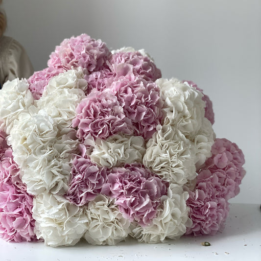 Cream Soda Hydrangeas