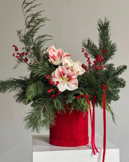 Festive Amaryllis Bloom Box