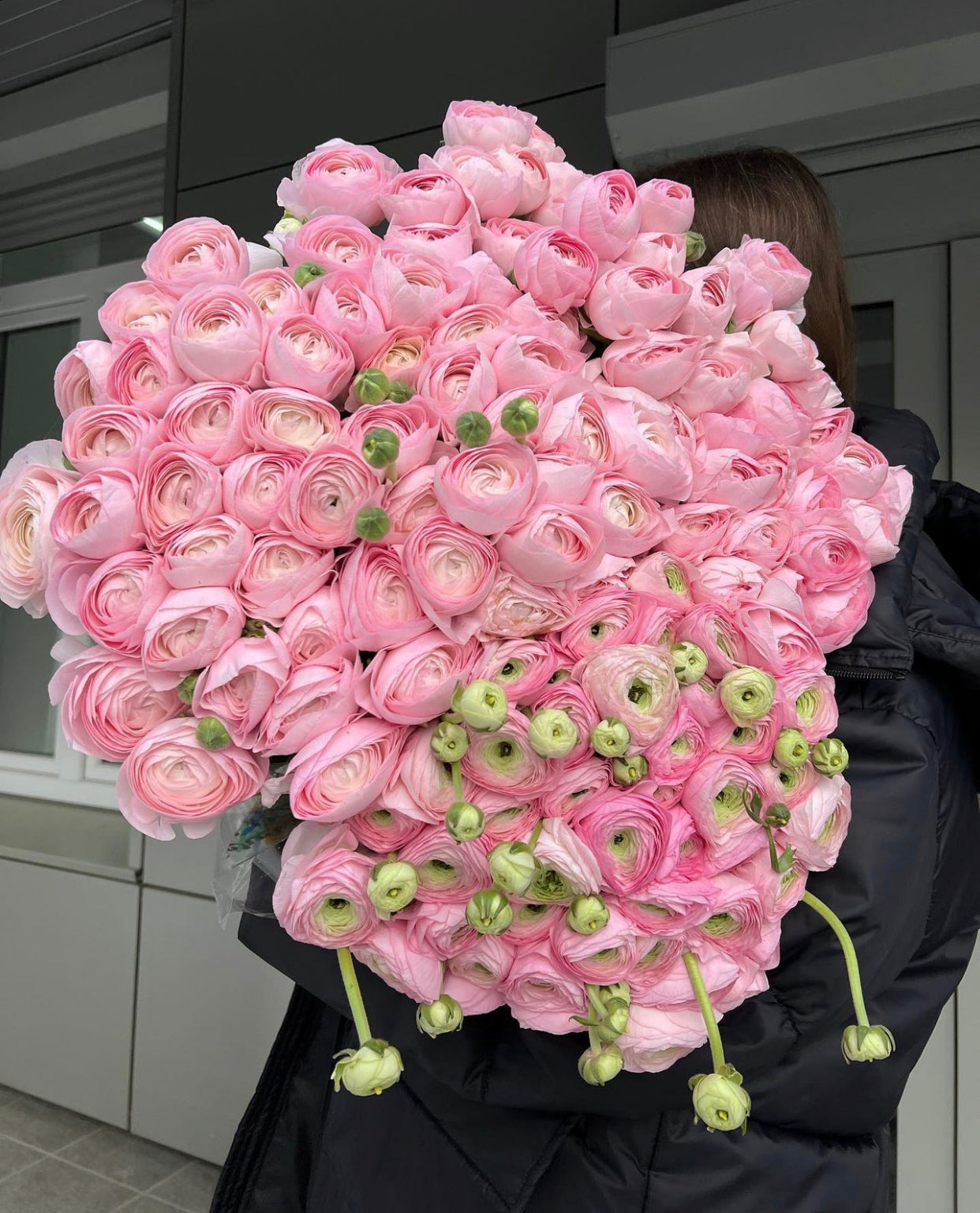 Covent Garden Classic Ranunculus