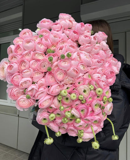 Covent Garden Classic Ranunculus
