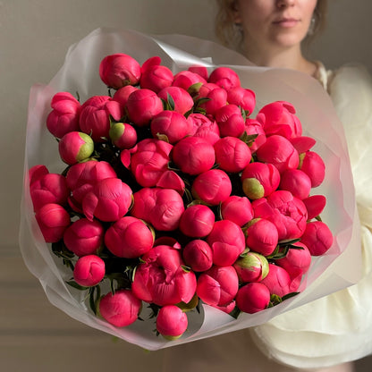 Coral Peonies - Colour Shift