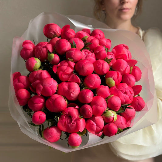Coral Peonies - Colour Shift