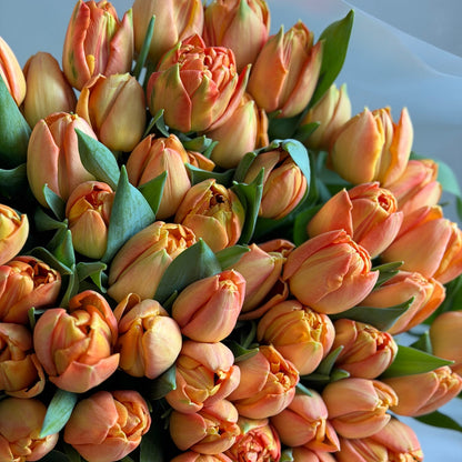 Orange Tulip Bouquet - Vibrant Spring Statement