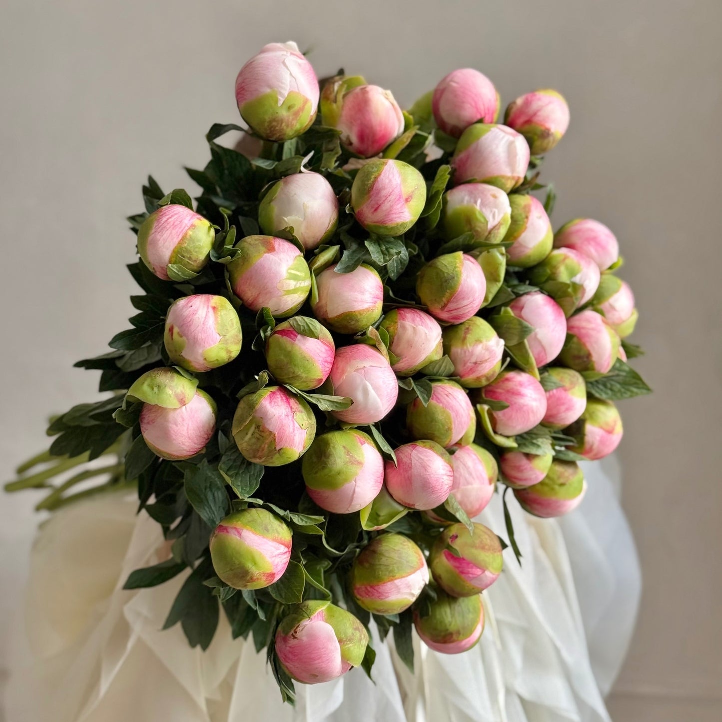 Colonel Owen Cousins Peonies