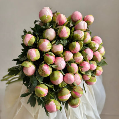 Colonel Owen Cousins Peonies