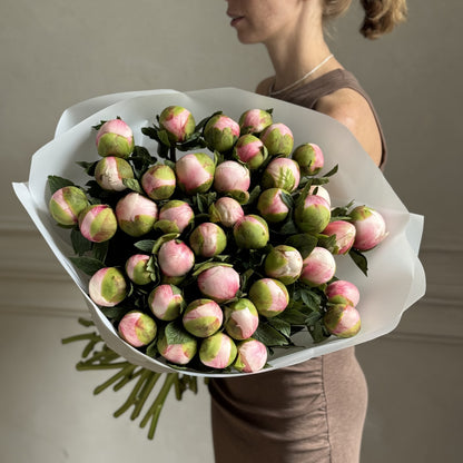 Colonel Owen Cousins Peonies